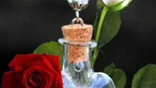 آهنگ زیبای گل بکاریم از مسلم عبداللهی