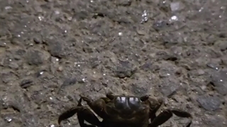 اپدیت استوری اینستاگرام نامجون