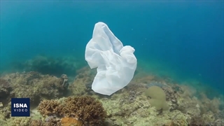 روزی برای دوری از آسیب‌های پلاستیکی