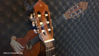 تست صدای گیتار یاماها c40