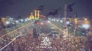 مداحی شهادت امام باقر علیه السلام با نوای میرداماد