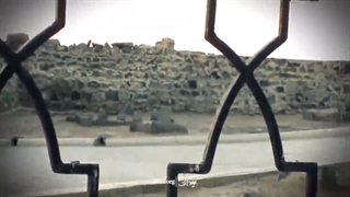 مداحی شهادت امام باقر علیه السلام با نوای میثم مطیعی