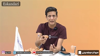 با این روش از خفگی جوجه ها جلوگیری کنید