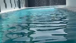 اجاره ویلای استخر روباز3