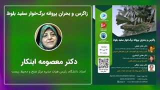 پیشنهاد معصومه ابتکار برای مقابله با پروانه برگ خوار سفید بلوط