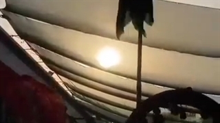 سری به نیزه بلند است