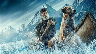فیلم آوای وحش/ The Call of the Wild 2020