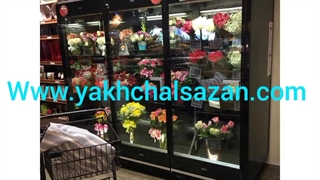 یخچال سه درب گلفروشی خاص ۰۹۱۲۸۴۶۹۳۶۲