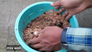 آموزش کاشت و پرورش آدنیوم در گلدان