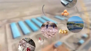تیزر شرکت مکتوس