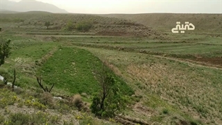 نمایی از مزرعه قنات بکری بالا
