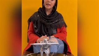 مجسمه شوالیه ( قلم برنده تر از شمشیر است )