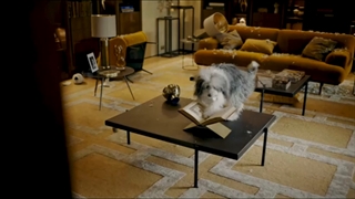 مرد در مقابل زنبور_فصل1_قسمت2 (1)