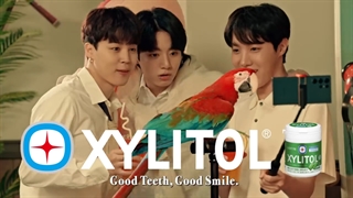 XYLITOL X BTS _ Smile Leisure