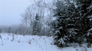 سریال چینی معبد گمشده 2 ( the lost tomb 2 :Explore with the note 2021) قسمت 10+ زیرنویس فارسی