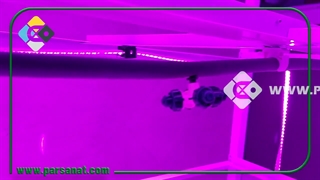 مه پاش چهار نازله