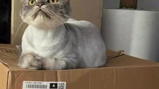 ابدیت استواری پارک شین هه ( ۲۷ تیر ۱۴۰۱ ساعت ۴ بعد از ظهر )