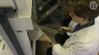 تشکیل جنین،نوزاد : دو هفته اول