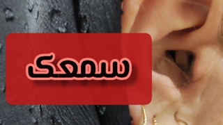 سمعک نامریی اهواز