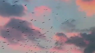 بغلم‌کن‌که از‌همه‌خسته‌ام