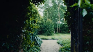 Noble VII - Cosmos Flower and Rock Rose - Clive Christian