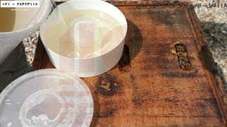 آموزش زنبورداری آسان-پرورش زنبور عسل-انتقال کندوهای مرکزی به کندو بزرگ