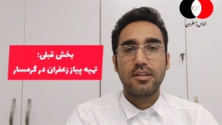 بهترین زمان کاشت زعفران در گرمسار