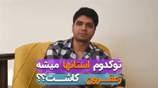 زعفران در چه آب و هوایی رشد می کند؟