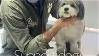 کپشن رو بخونید.میشه ترس رو تو چشمهاش دیدRead the caption.You can see the fear in his eyes