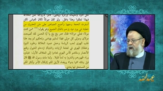 آیا عدم پذیرش خلافت امیرالمومنین علیه السلام از طرف صحابه حجت است یا خیر ؟