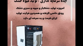 خشک کن چیپس میوه و سبزیجات / دستگاه پیاز