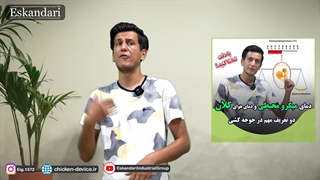 دمای میکرومحیطی و ماکرو محیطی در مورد متابولیسم گرمای تخم نطفه دار