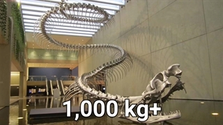 اگر بزرگترین و خطرناکترین مار ساکن زمین برگردد چه میشود؟