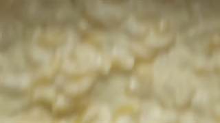 طرز تهیه پاستا پنیری خوشمزه