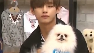 چرا این سگ بدبختو آخه اذیت میکنی ته