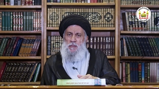 دروس فی سیرة النبی (ص) واهل بیته (ع) _ 23 _ العلامة المحقق السید سامی البدری