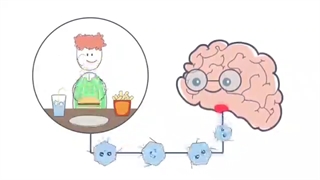 ☑️عفاف و حجاب از دیدگاه علم نوروبیولوژی     ‌‌‌‌‌‌‌‌‌‌‌‌‌‌‌‌‌‌‌‌‌‌‌‌‌‌‌‌‌‌‌‌‌‌‌‌‌‌‌‌‌‌‌‌‌‌‌‌‌‌‌‌‌‌‌//eitaa.com/sondosir