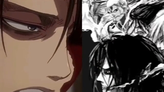 میکس ارن vs لیوای