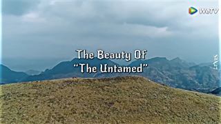 زیبایی های آنتیمد