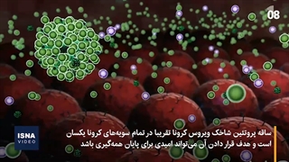 کشف پادتنی جدید برای درمان گونه‌های مختلف کرونا