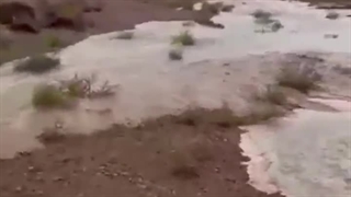 باران مرداد بالاخره خوشحالمان خواهد کرد