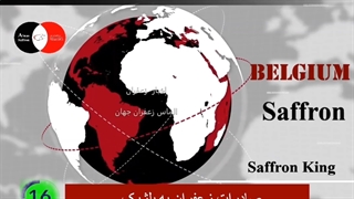 اخبار زعفران - صادرات زعفران به آمریکا