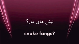 تئوری تیزر Born Pink کامبک جدید بلک پینک Blackpink new comeback teaser theory Born Pink