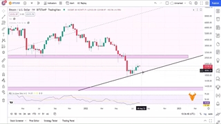 دو شنبه های تحلیلی با کوینینو