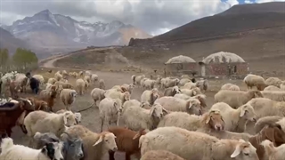 مشگین شهر (خیاو)اردبیل فصل پائیز