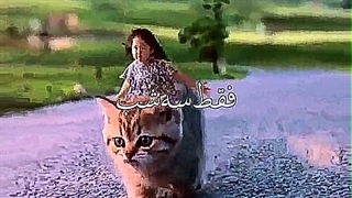 توجه توجه