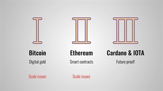قیمت لحظه ای کاردانو