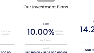 سرمایه گذاری در سایت خارجی با سود ماهانه 10 درصد { تست شده }