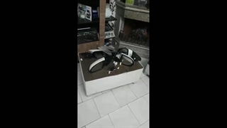 نصب رادار نقطه کور اسپورتیج و اوپتیما-گندم کار