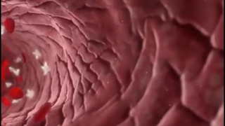 عملکرد پلاکت در خونریزی محدود-مهدی محمد حسین زاده